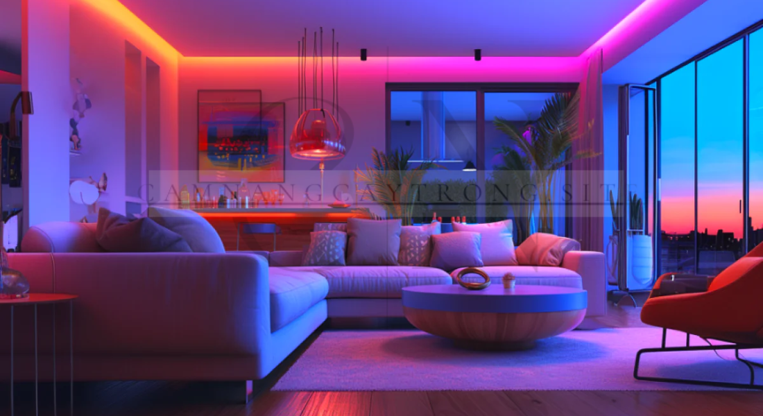 Sengled Smart Light System Transform Your Space with Intelligent Illumination